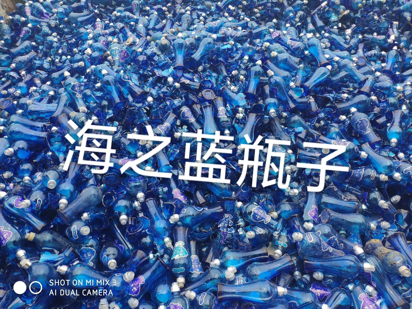 大丰区海之蓝瓶回收